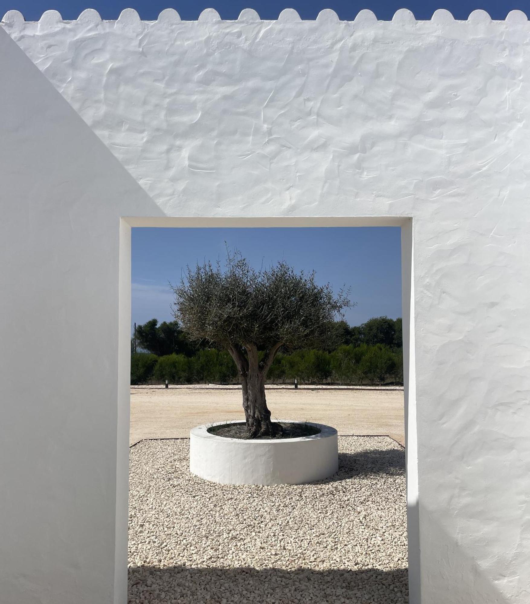 Villa Monte Da Fonte Zambujeira do Mar Exterior foto